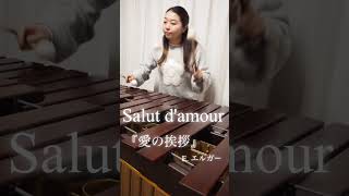 Download lagu 『愛の挨拶』E.エルガー#marimba #マリンバ #マリンバ奏者 #音楽 #music #クラシック mp3