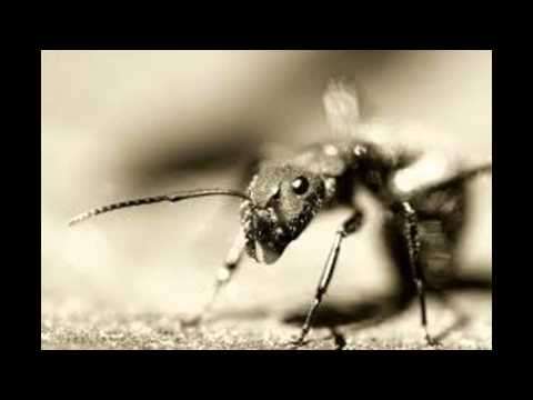 Abscizza - Got No Place (Electro House 2011)