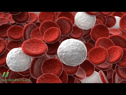 What is the Ideal White Blood Cell Count?