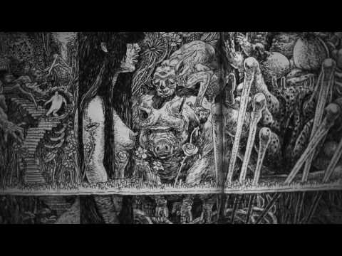 WTF - Ian Bertram In Sri Lanka