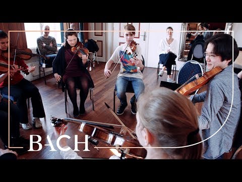Masterclass young talents - Introduction baroque violin - March 2019 | Netherlands Bach Society