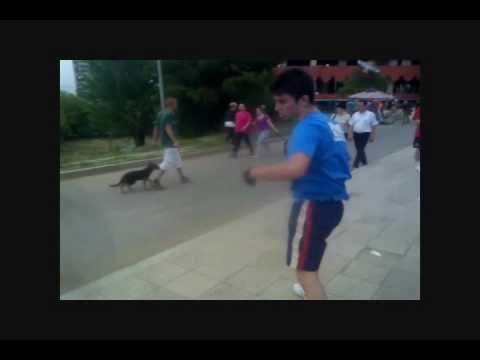 M.S.A - a kick boxer