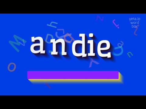 How to say "andie"! (High Quality Voices)