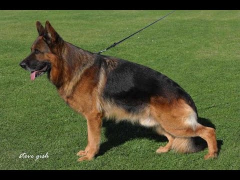 HUGH VOM EICHENPLATZ - HISTORIAS DE SANGRE - EDUARDO DURAN HAEDO