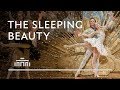 Get Enchanted By The Sleeping Beauty