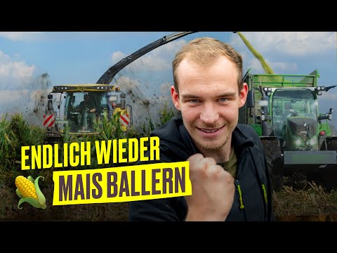 Maisernte 2023: DAS geht nur im Team (1 Häcksler, 7 Traktoren, 5 Abfahrer) I Hundert Hektar Heimat