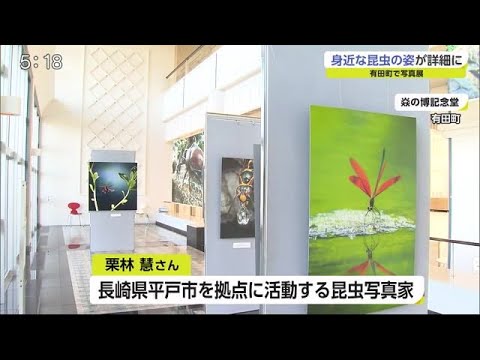 園芸 昆虫の写真を撮る