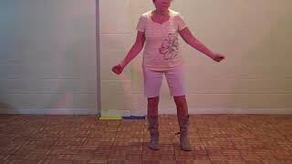 Little Heartbreaker Line Dance - Demo - Parmalee