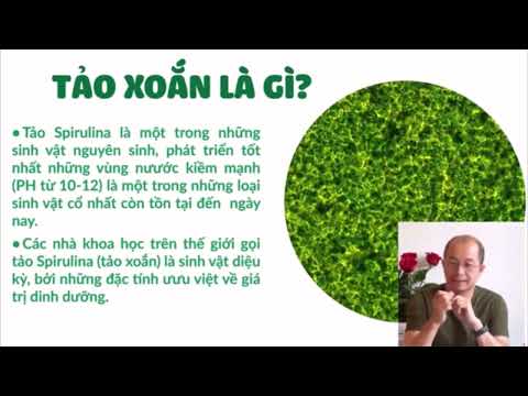 BS Nguyễn Duy Cương nói gì về tảo xoắn Spirulina