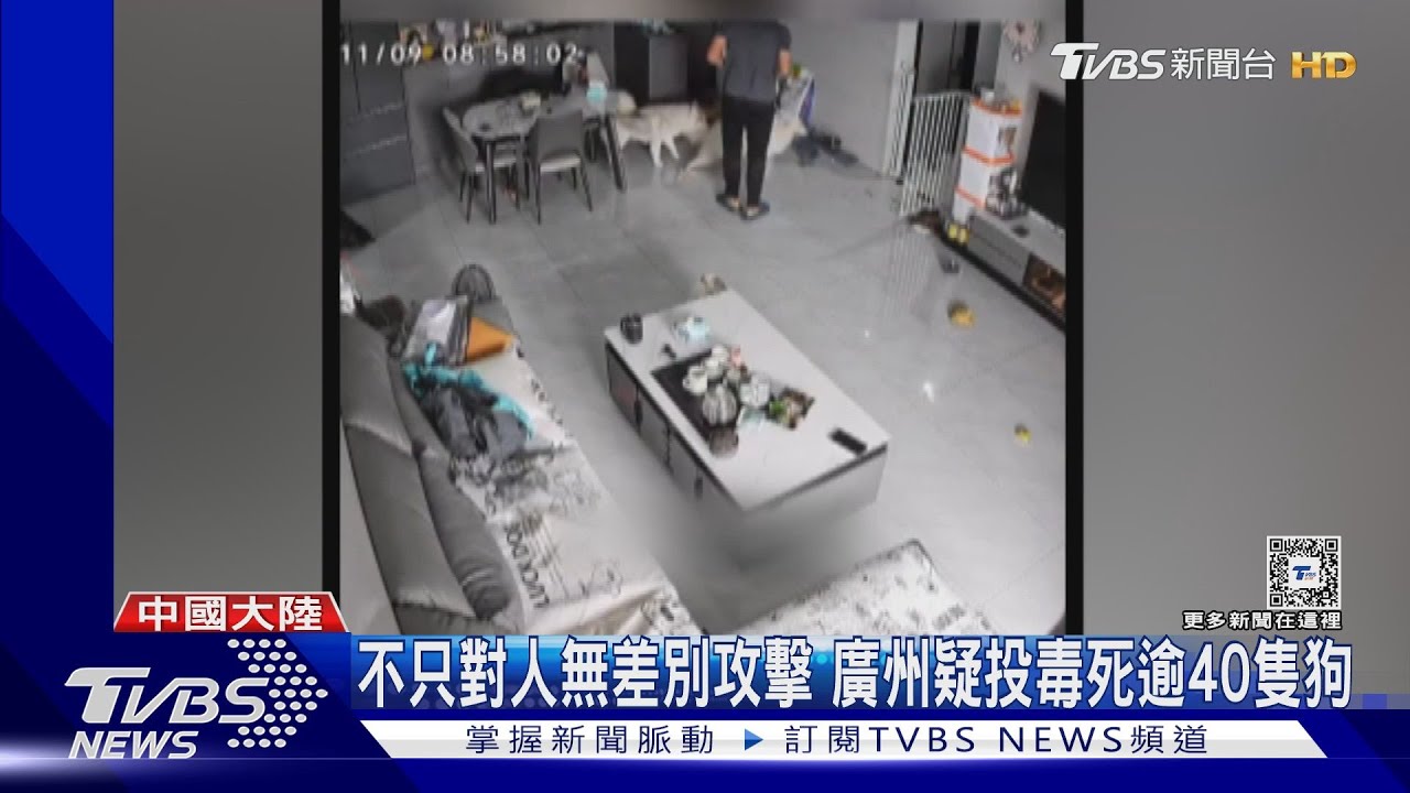 陸無差別攻擊頻傳!廣州疑大規模投毒害死逾40隻狗