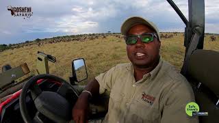 Gosheni Safaris  Africa - Tanzania  Leading  Professional Tour Operator