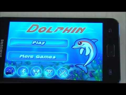 Dolphin Video