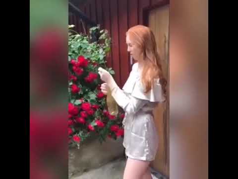 Фейл, на который можно смотреть снова и снова