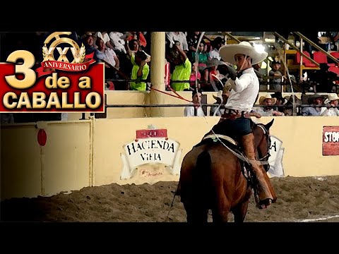 RG2 Colts - 3 of 3 Manganas on Horseback - 2022 THV Millionaire Championship