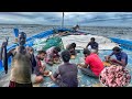 Great We Stayed In The Deep Sea For The Thirteenth Day And Caught A Tuna Fishes Day 13 S05 EP14