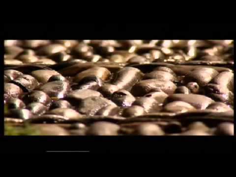 CÓRDOBA PATRIMONIO DE LA HUMANIDAD. CIUDAD DE LOS SENTIDOS