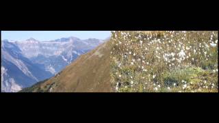 Côté cour côté jardin