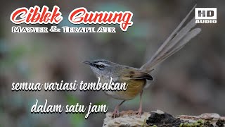 Download lagu Ciblek Gunung | Cigun variasi tembakan lengkap full isian. mp3 Download lagu Ciblek Gunung | Cigun variasi tembakan lengkap full isian. mp3