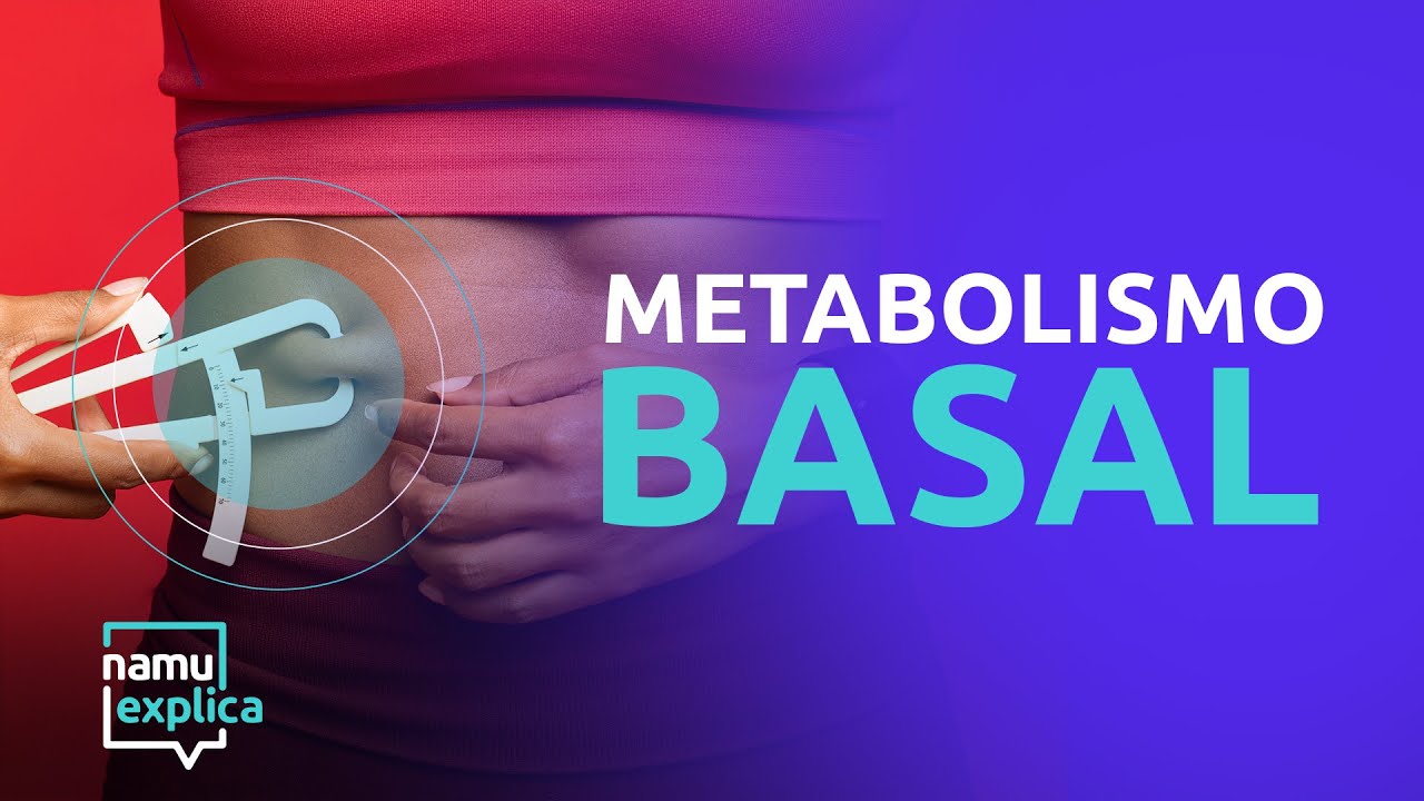 O que é e como calcular a taxa metabólica basal?
