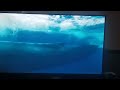 Blue Planet Audio Description Part 3