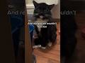 They gave this stray cat a new life ❤️