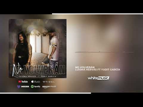 Luisma Hervas ft Yudit García - No Volverán (Visualizer)