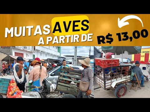 AO VIVO | Feira de Galinhas de Cansanção Bahia | 1°/12/2025 - TV CANSANÇÃO
