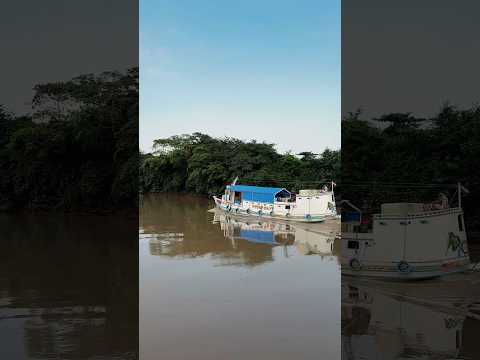 Cachoeira do Arari 🩵 #cachoeiradoarari #ilhademarajó #pará
