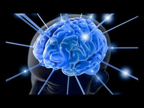 Glofcast Episode 10  - Neuroplasticity and Blanchardianism