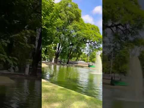 Realmente es maravilloso el lago del parque General Paz en el barrio de #saavedra #walking #shorts