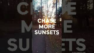 YOUR PSA FOR THE DAY | Chase more moments like this! | #shorts