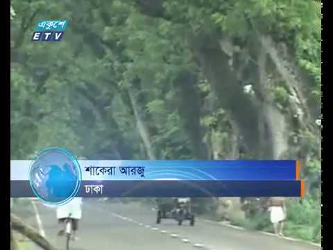 যশোরের শতবর্ষী গাছ কাটার সিদ্ধান্তের ওপর ছয়মাসের স্থিতাবস্থা