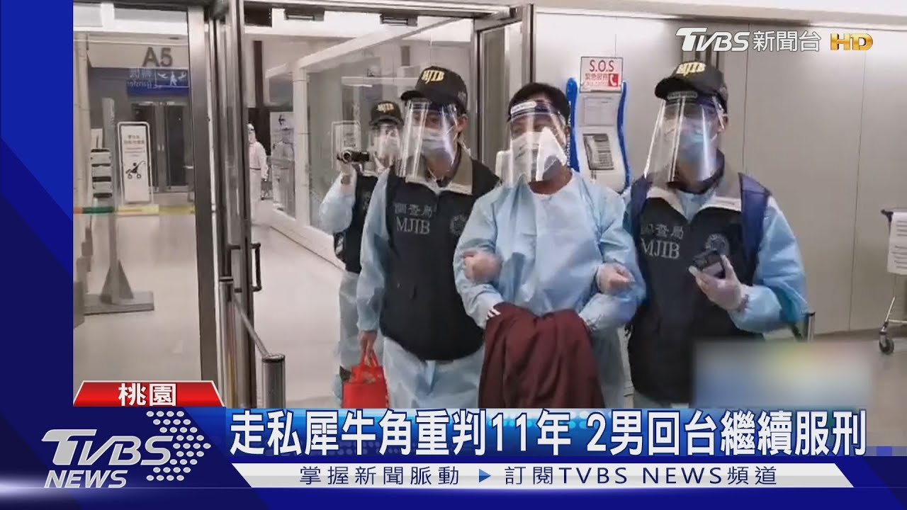 首例!史瓦帝尼走私犀牛角 2男押解回台服刑