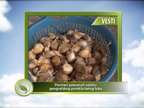 VESTI - Povrtari pokrenuli zaštitu geografskog porekla belog luka