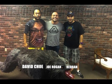 Joe Rogan Experience #392 - David Choe