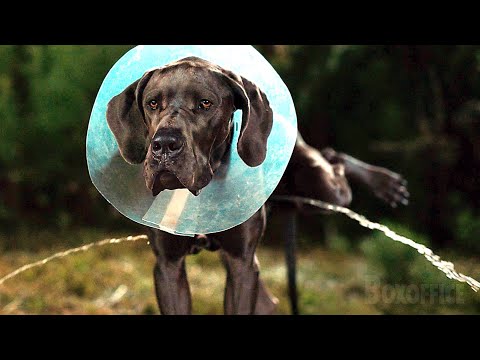 La escena del círculo de amor | Hijos De Perra | Clip en Español