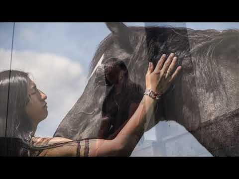 Inside Of Me /Jorge Sangre Ancestral