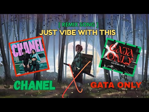 Gata Only X Chanel [ Mashup Song ] 