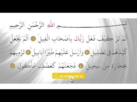 FİL SURESI 41 HIZLI TEKRAR