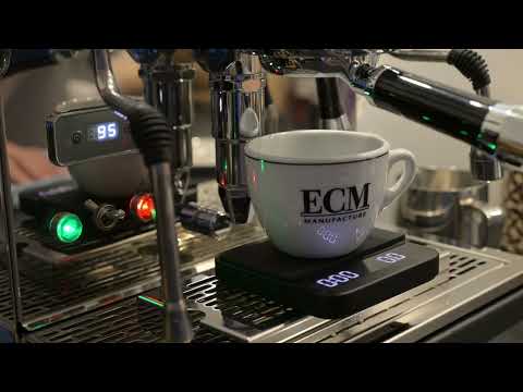 Cappuccino made on ECM Synchronika 2022 and Niche Zero