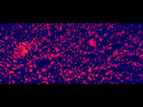 Smack My Bitch Up - The Prodigy - / Worlds On Fire DVD / [HQ]