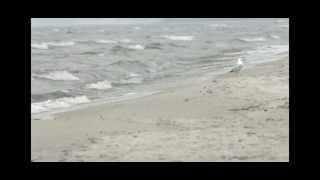 preview picture of video 'Grand Beach Manitoba'