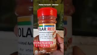 Download lagu artemia polar red original mp3 Download lagu artemia polar red original mp3