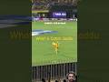 Kya Catch Pakda Jaddu Ne 🫡 Cricket Csk Shorts Jadeja Funny Msdhoni Msd Thala