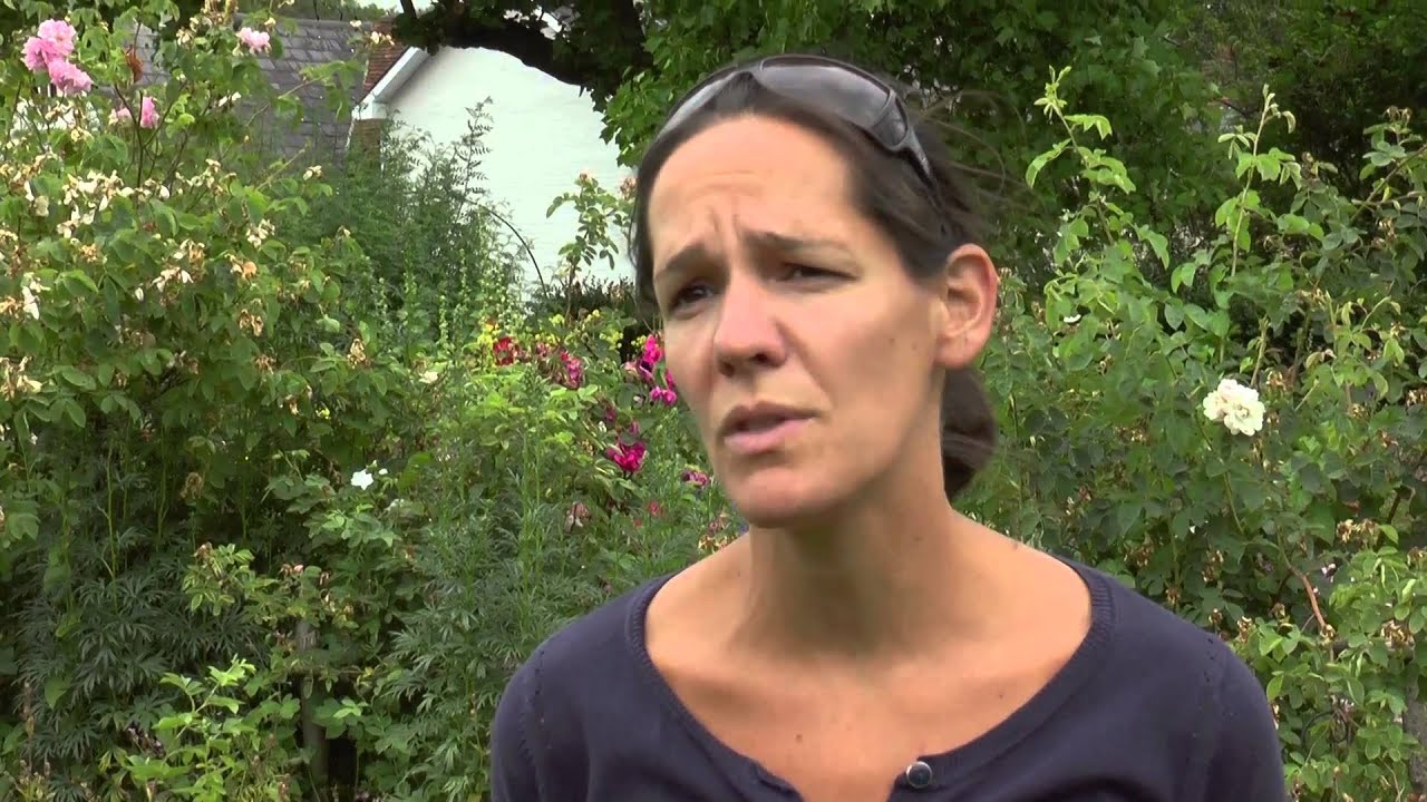 Teddy Bear Hunt In Gilbert White's Garden Excites Children in Hampshire.