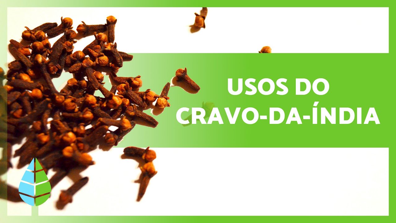 BENEFÍCIOS do CRAVO-da-ÍNDIA 💚 (Propriedades, Para que serve e Como Tomar)