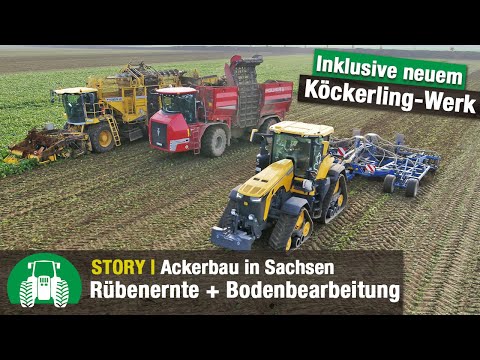 Agrarbetrieb Saat-Gut Plaußig Teil 4 (Rübenernte | John Deere 8RX | Köckerling Vector m. Boxer)