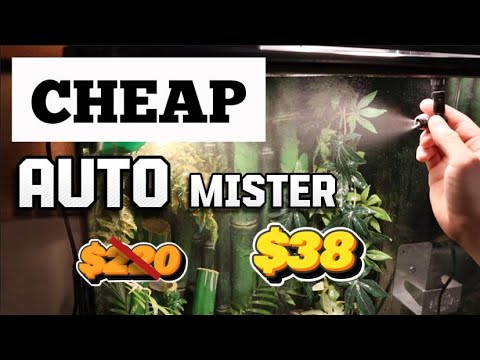 $38 CHEAP Amazon Terrarium Auto Mister (how to setup)