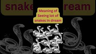 Download lagu Meaning of Seeing lot of snakes in dream #shortsfeed #astrology #snakedreammeaning #dreammeaning mp3