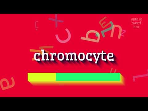 HOW TO PRONOUNCE CHROMOCYTE? #chromocyte